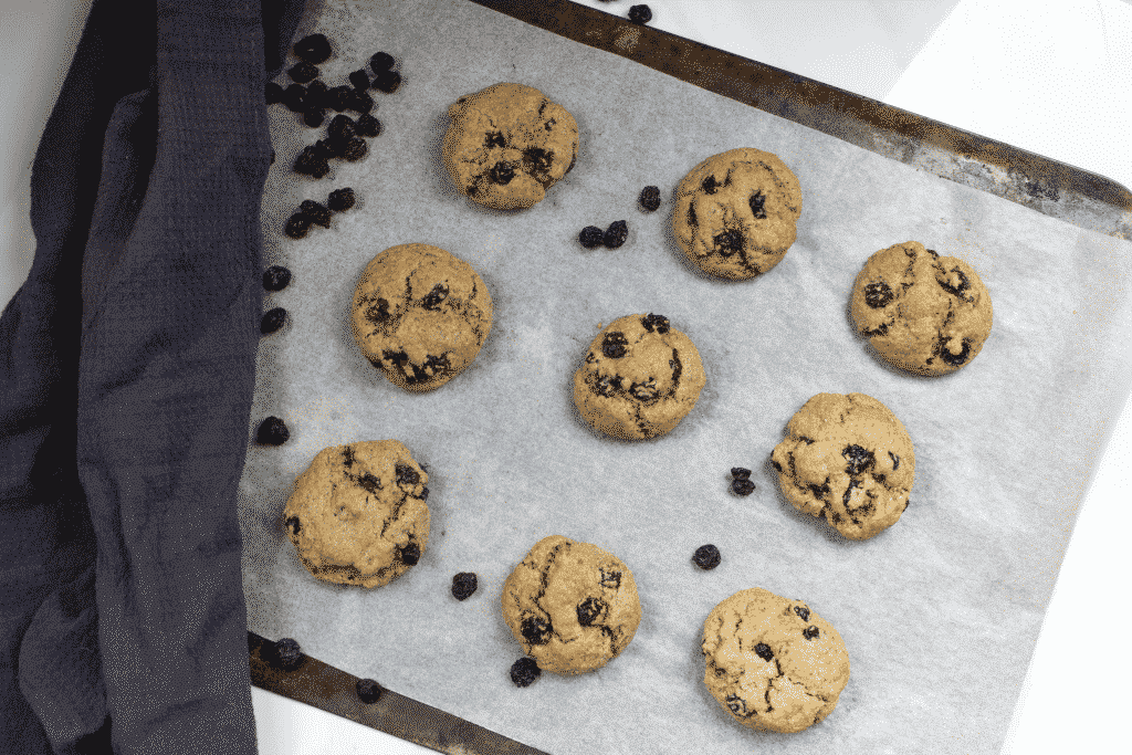 'Oatmeal' Raisin Cookies (GF, DF, Paleo, Vegan)