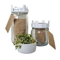 Two glass jars with white lids, one containing sprouts, on a white background
