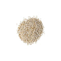 Small pile of white quinoa seeds on a white background
