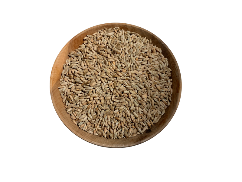 New Zealand Rye Grain